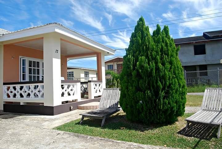Sue'S Homestay Christ Church Esterno foto