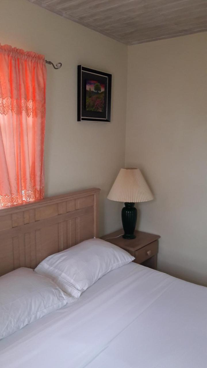 Sue'S Homestay Christ Church Esterno foto