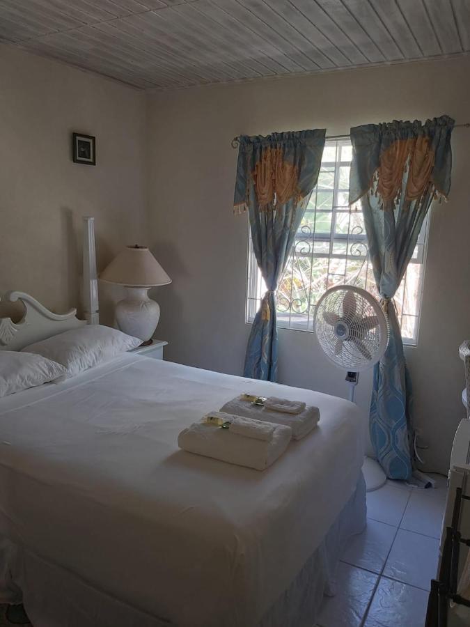 Sue'S Homestay Christ Church Esterno foto